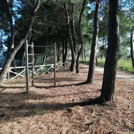 Casalina Apartman